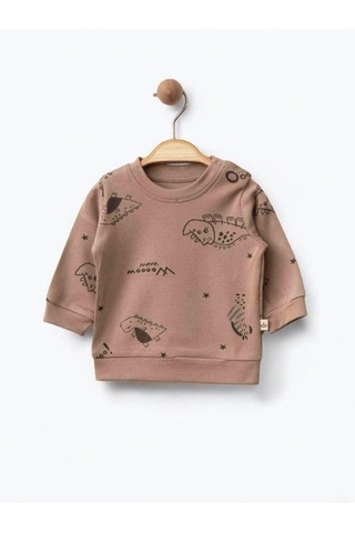 Erkek Bebek Dinazor Baskılı Organik Eşofman Takım-15481 Kahverengi