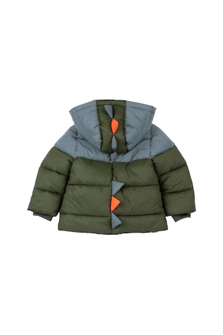 Chicco Mont - Kapısonu Çıkarılabilen 09087839000000 000055 Medıum Green