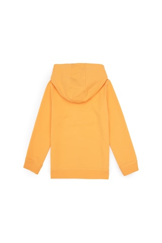 U.S. Polo Assn. Kız Çocuk Mango Kapüşonlu Fermuarlı Sweatshirt 50316873-VR244