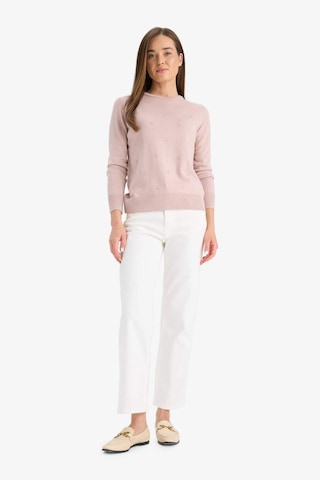 Defacto Regular Fit Bisiklet Yaka Triko Kazak F4084ax25wnpn681 Pembe