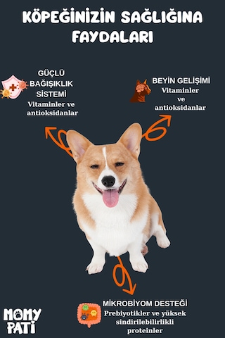 Kuzu Etli Köpek Maması 15 Kg Yetişkin Köpekler Için