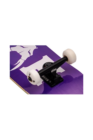 Horn 8.0 Classic Logo Purple Complete Profesyonel Kaykay Çok Renkli