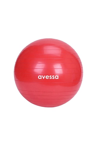 Özel Seri Antrenman Aktivite Kondisyon Xpt-75-red Plates Topu Kırmızı 75 Cm 1200 Gr