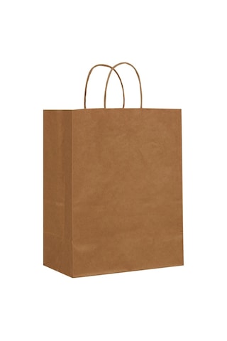 Packanya 20 x 10 x 22 - 100 Adet Burgu Saplı Kraft Çanta