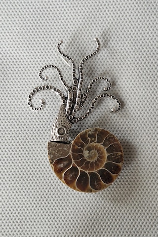 Gerçek Amonit Fosili Benzersiz Broş Br10-9 Kahverengi