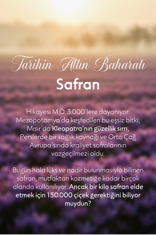 Safran Kolonya Amber Cam Şişe 100 Ml