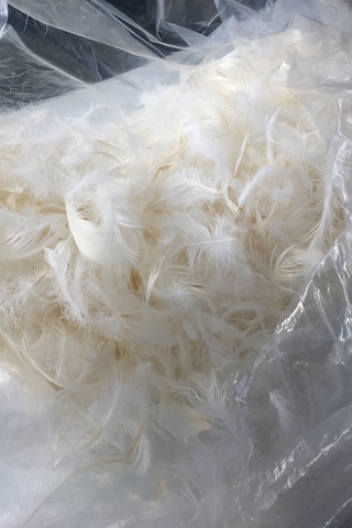 Hill Tekstil Kaz Tüyü Dolgu Metaryeli 2 KG