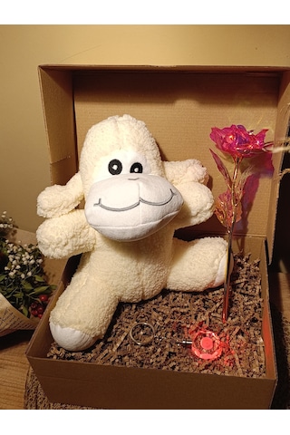 Kutulu Hediye Seti / Peluş Kuzu 24cm - Renk Değiştiren Işıklı Anahtarlık - Sonsuzluk Gülü
