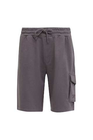 Reebok Dolphy Short Antrasit Erkek Şort Gri
