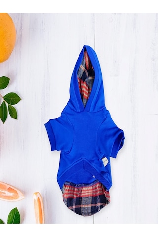 Miniş Pet Butik Gömlek Detaylı Kapüşonlu Mıckey Kedi Köpek Sweat