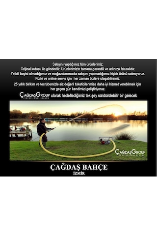 Energy Wmqgz 50-12-50 Yüksek Basınçlı Benzinli Su Pompası 2 Inch