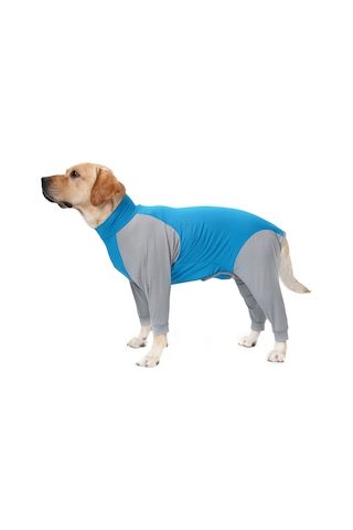 Xindoker Köpek Kıyafeti - Esnek Dört Bacaklı Polo Yaka Sweatshirt Mavi/gri, Xl