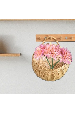 Pazly Tutucu Suntek Sepet Ev Ekici Duvar Dekor Çap-20cm Bitkiler Asılı Js Bej