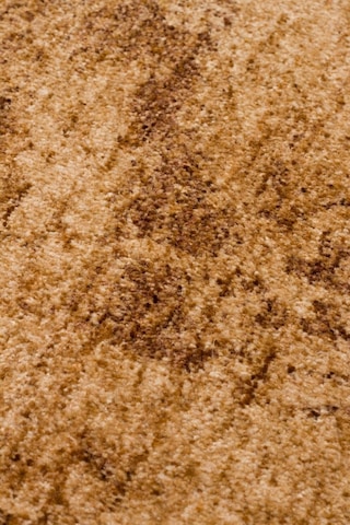Shiraz Shr 01 Beige Vintage Eskitme Tarzı Yumuşak Dokulu Salon Halısı Oturma Odası Halısı Bej
