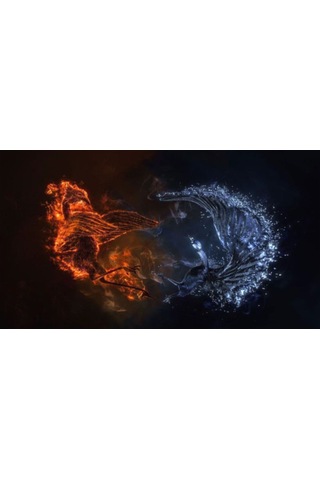 Concord Mp-306 Desenli Mouse Pad 250 X 300 X 3 Mm