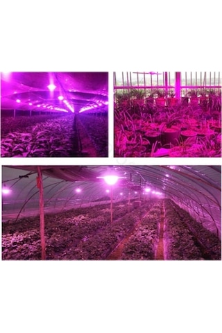 1 Watt Power Led Grow (Full Spectrum)