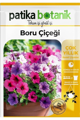 100 Adet Boru/Petunya Çiçek Tohumu (Petunia)