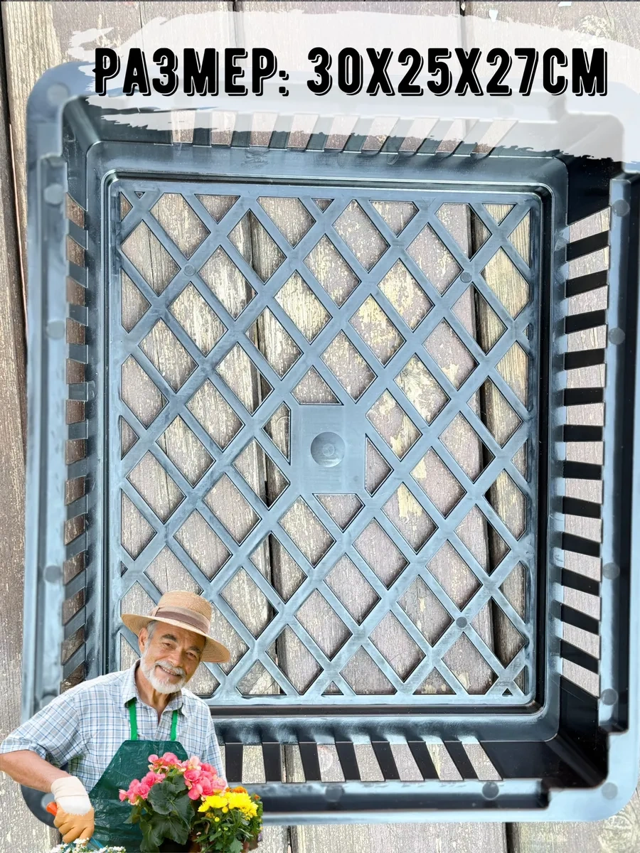 Botanikum Soğanlı Bitkiler Ve Kelebek Yetiştirme Sepeti 324986763