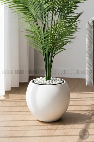 Biçiçek Areka Ağaci 24 Yapraklı 130 Cm Beyaz Küre Saksıda