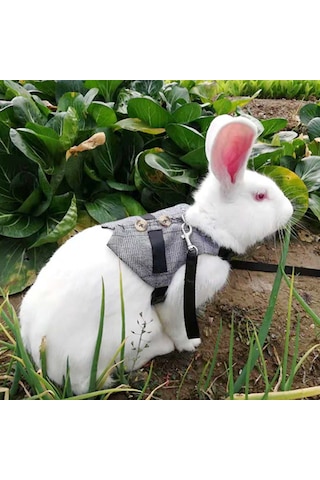 Lemestar Tavşan Kedi Küçük Köpek İçin Pamuklu Tasma, Sakal Giyimi, Boyut L Boyun 25-30cm, Gögüs 34-44cm