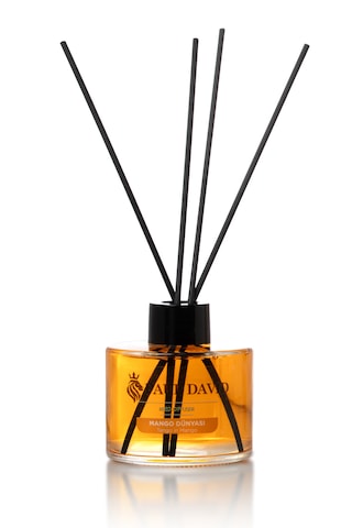 Paul David Mango Dünyası Oda Kokusu 145 ML