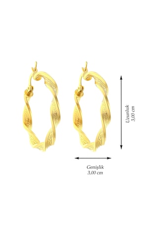 14 Ayar Altın Küpe Grek Desenli Tek Burgu Halka Küpe 3,2 Cm Çapında