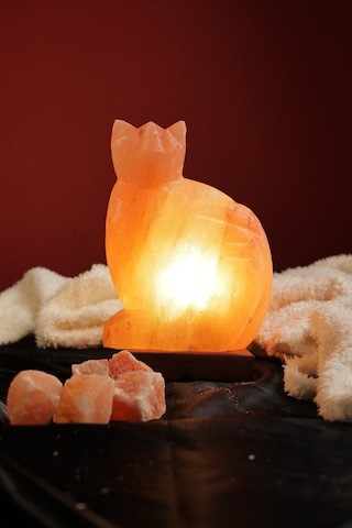 Himalaya Kedi Model Tuz Lambası Ahşap Kaideli Dekoratif Ortam Lambası