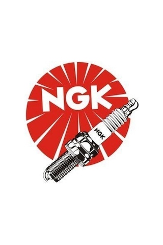 Ngk Buji Cr9e