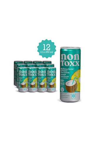 Nontoxx Hindistan Cevizi & Ananas Aromalı, Sirkeli, Gazlı İçecek 250 Ml