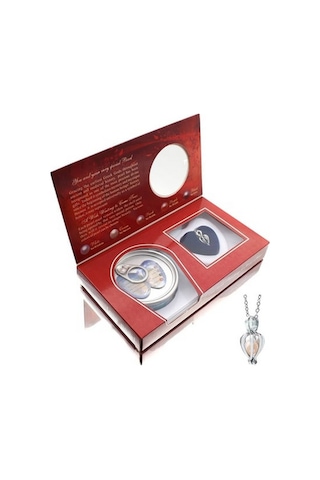 İstiridye İçinde Gerçek İnci Ve Kolye