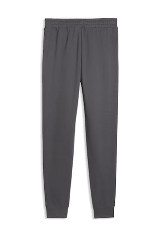 Puma Eşofman Altı Erkek Gri Ess 2 Color No. 1 Logo Sw 000000000102708284