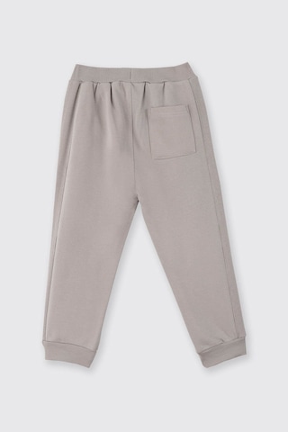 Panço Taş Erkek Çocuk Eşofman Altı 2521bb01003 Taş