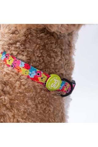 Pawstar Monsters Boyun Tasması M Boyun Çevresi: 32 Cm X 48 Cm Çok Renkli