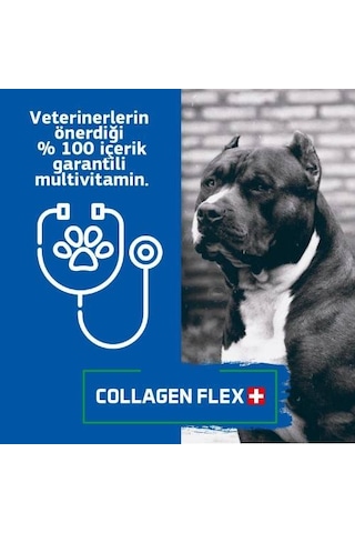 Collagen Flex Köpekler İçin Yeni Nesil Gelişim Ürünü Toz 10 x 400 G