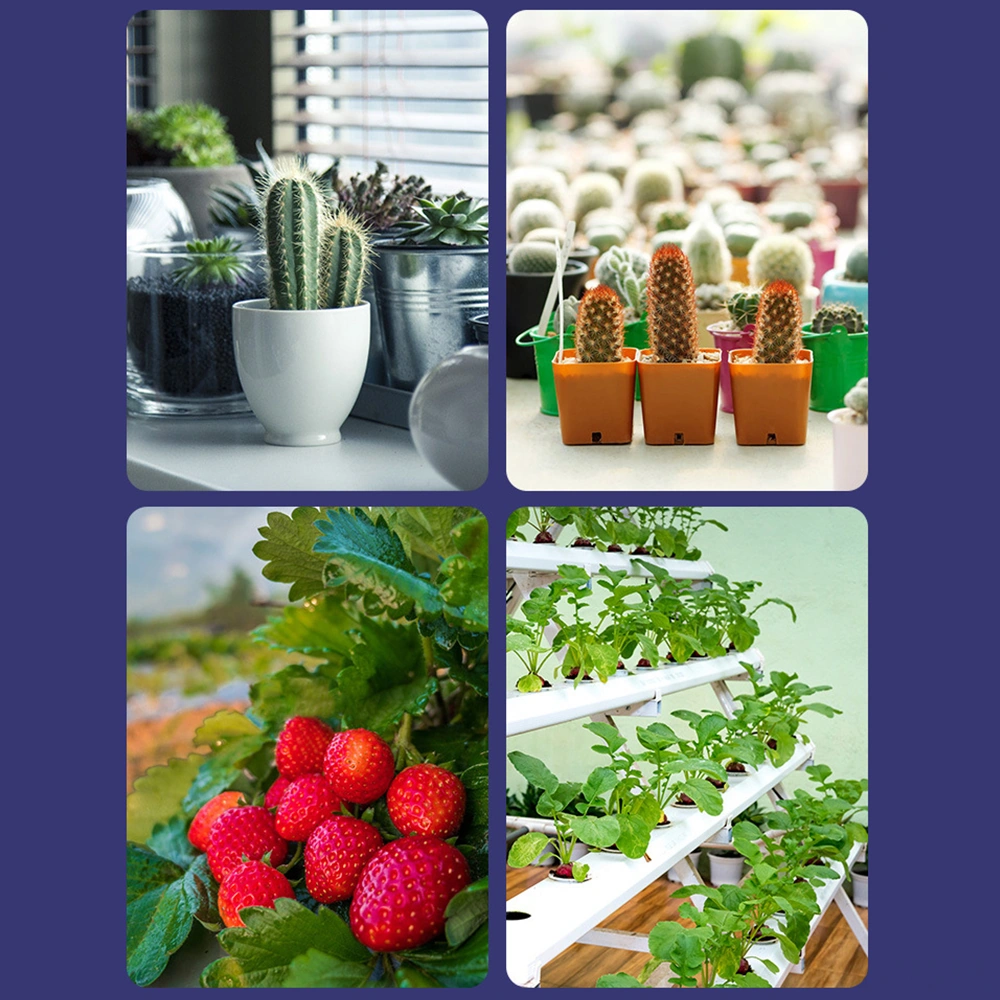 Skycity E14 80 Led Kırmızı-mavi Spektrum Bitki Büyüme Lambası, 220v Sera Bahçe Bitki Besleme Işığı Diğer