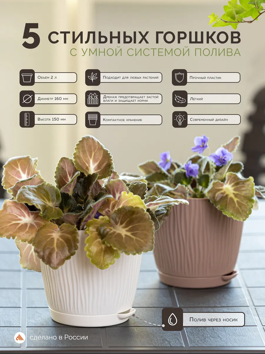 Al' Ternatıva Saksılar İç Mekan Bitkileri/2 Litre/5 Adet/beyaz 447871024