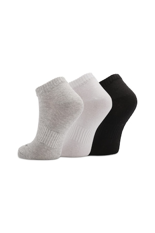 Slazenger JAMAL 3 lü Kadın soket Karışık Çorap