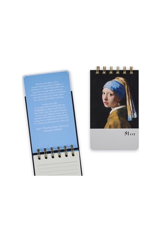 Episode Küçük Spiralli Gallery 100 Yp. Defter - Vermeer Pearl Earring Çok Renkli