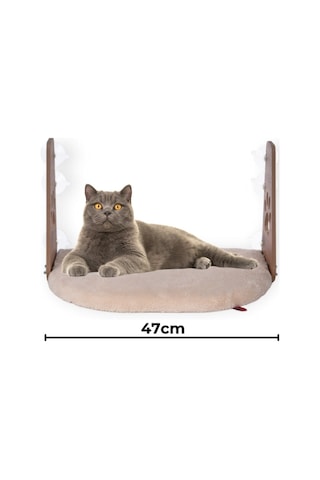Cam Yatağı Vantuzlu Kedi Cam Yatağı Vantuzlu Yatak Krem