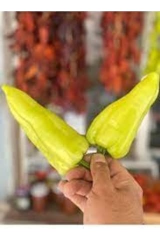 100 Adet Tohum Nadir Kale Acı Biber Tohumu Saksı Toprak Hediyeli