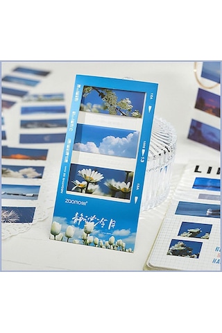 Nature Temalı 5 Farklı Dizayn Pet Index Index Sticker Post-it Sticky Note