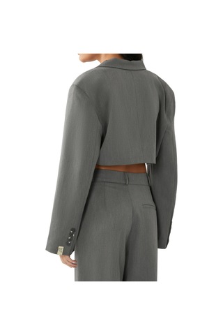 Reborn Society Kadınlar Için Şık Yaka Detaylı Crop Blazer Gri