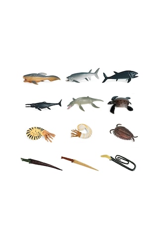 Okyanus Hayatı - Tarih Öncesi Okyanus Canlıları Set 1