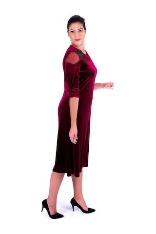 Nidya Moda Büyük Beden Kadın Bordo Kadife Abiye Elbise-4123B Bordo