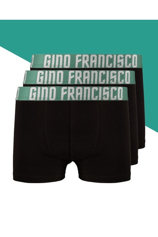 Gino Francisco Erkek Boxer 3'lü Paket Pamuklu Mood Serisi Premium Kutulu Set Yeşil