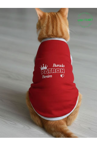 Burada Patron Benim Yazılı Kırmızı Kedi Ve Köpek Kıyafeti Elbisesi