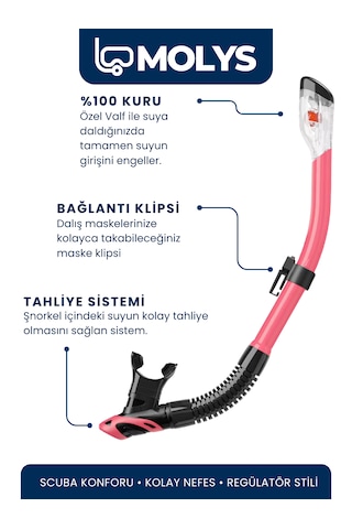 Molys M1 Profesyonel Dalış Maskesi + Maske Kutusu + Pro Full Dry Tam Kuru Şnorkel + Free Dom Antı Fog Buğu Önleyici Film Lila