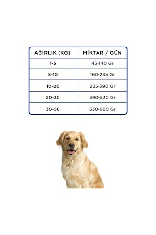 Econature Kuzulu Yetişkin Köpek Maması Sarı Ambalaj 15 Kg