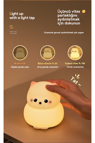 Led Patırık Ortamışığıge Lambası-geçsaatlere Kadar Ayaktaördek 1 Diğer