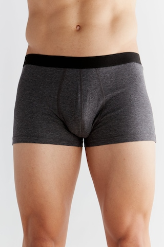 Albero Natur Gots Sertifikalı Organik Pamuk Erkek Trunk Boxer İç Çamaşırı Gri Melanj